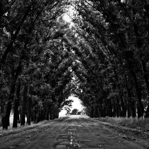 Recently Added Photographs - 盛世棋牌APP